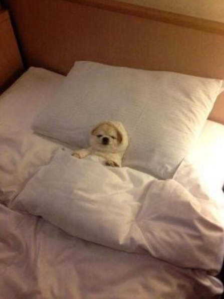 GrassfedTaco's tweet photo. Me waiting for @LateNightPack to start rolling: https://t.co/W2SGByIkh0
