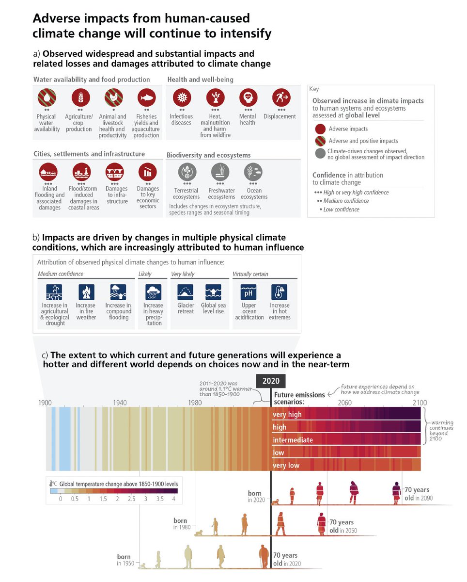 Christophe Cassou tweet media