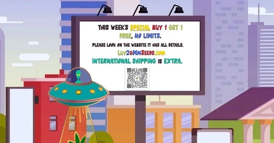 BOGO buy one get one free!
Spring on in to get your deal.
luv2gmmseeds.com/dank-cannabis-…