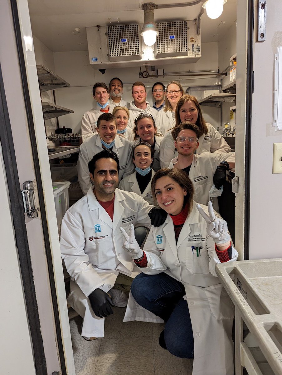 The Mansour Lab tweet media