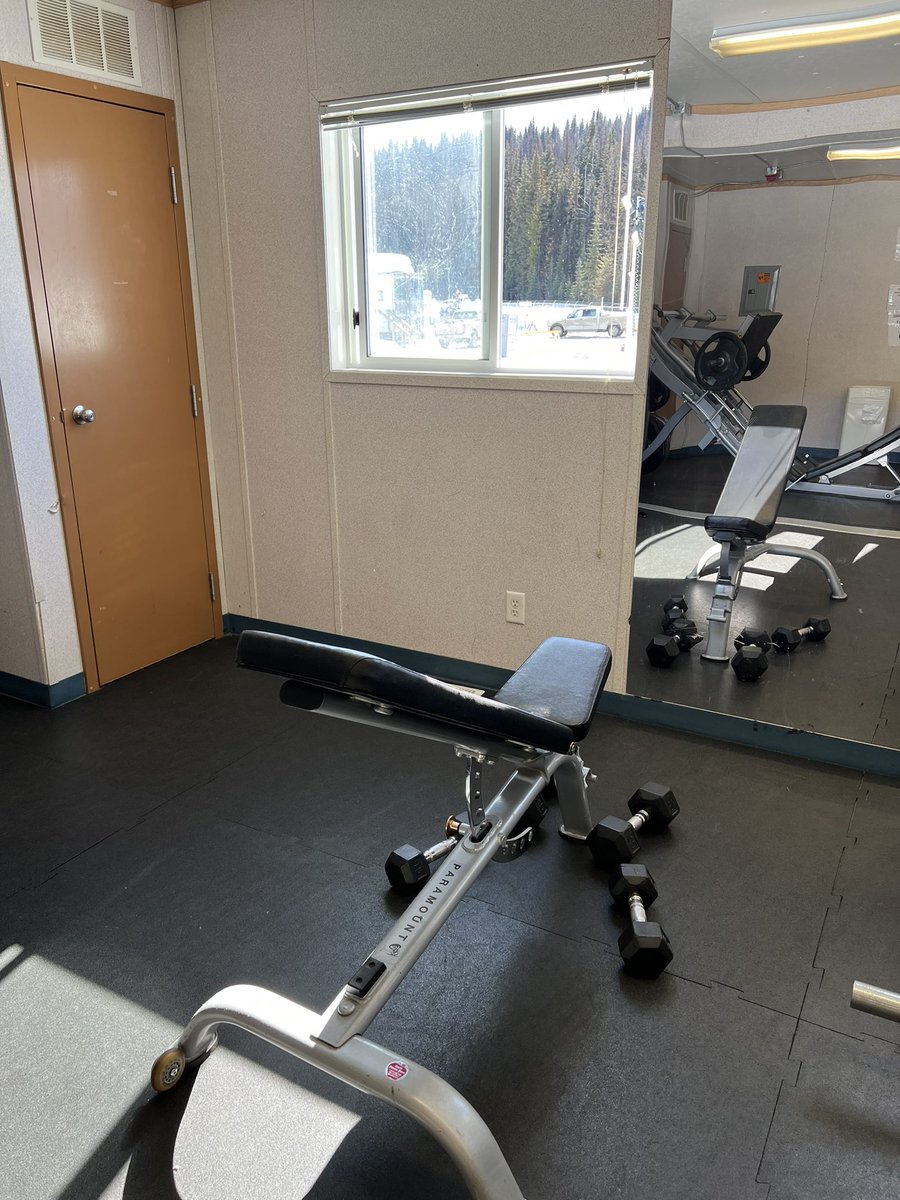 Sparky 🚀🚀 tweet media