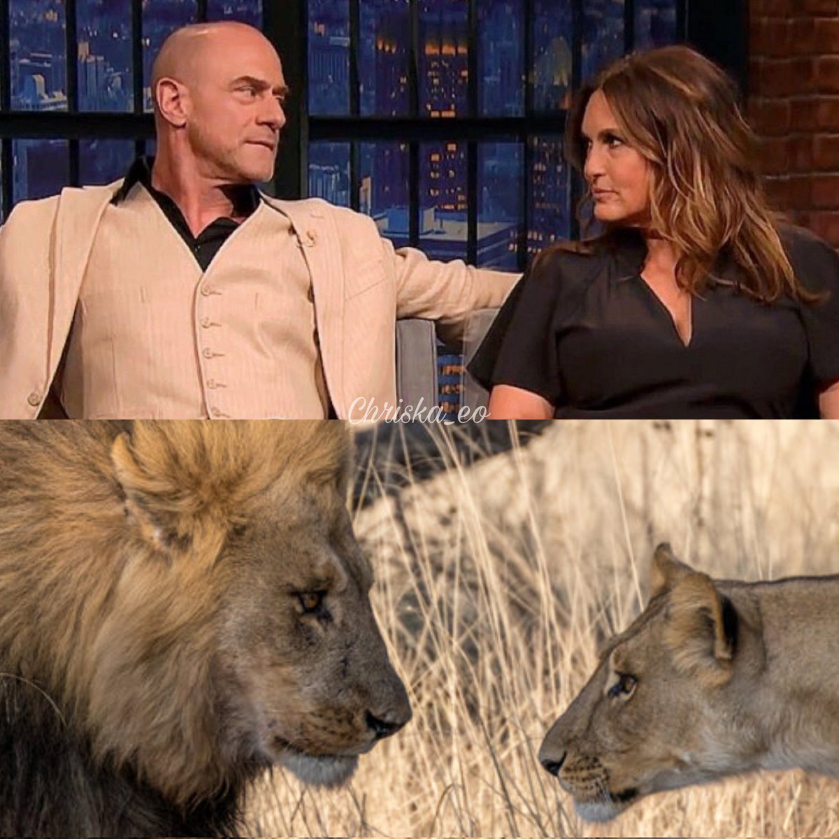 Chriska_EO_'s tweet photo. Look, don't even ask me..🤣 just following Mother's flow in this deep endless black hole 🥴😌🤐😍🔥🦁 @Mariska @Chris_Meloni @lawandordertv #Lioness❤️ #nuzzling #lionsvibes #bensler #EO #P4L #svu #oc #LawAndOrder #specialvictimsunit #organizedcrime #Benson #stabler #nevergiveup https://t.co/IPf18N1fOj