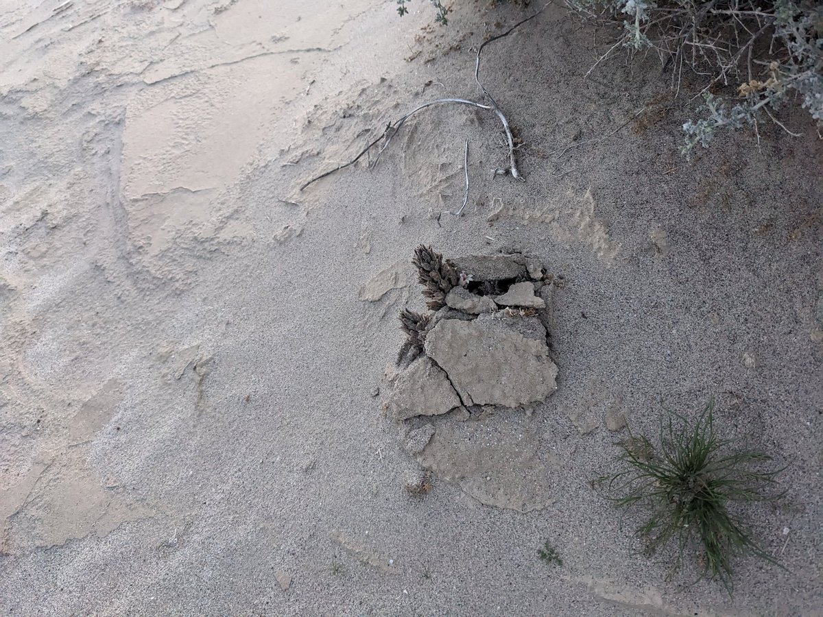 Moo Lawgoat 🌻🏳️‍🌈✊🏾 tweet media