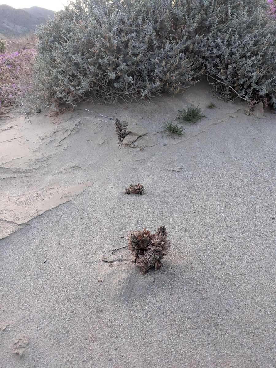 Moo Lawgoat 🌻🏳️‍🌈✊🏾 tweet media