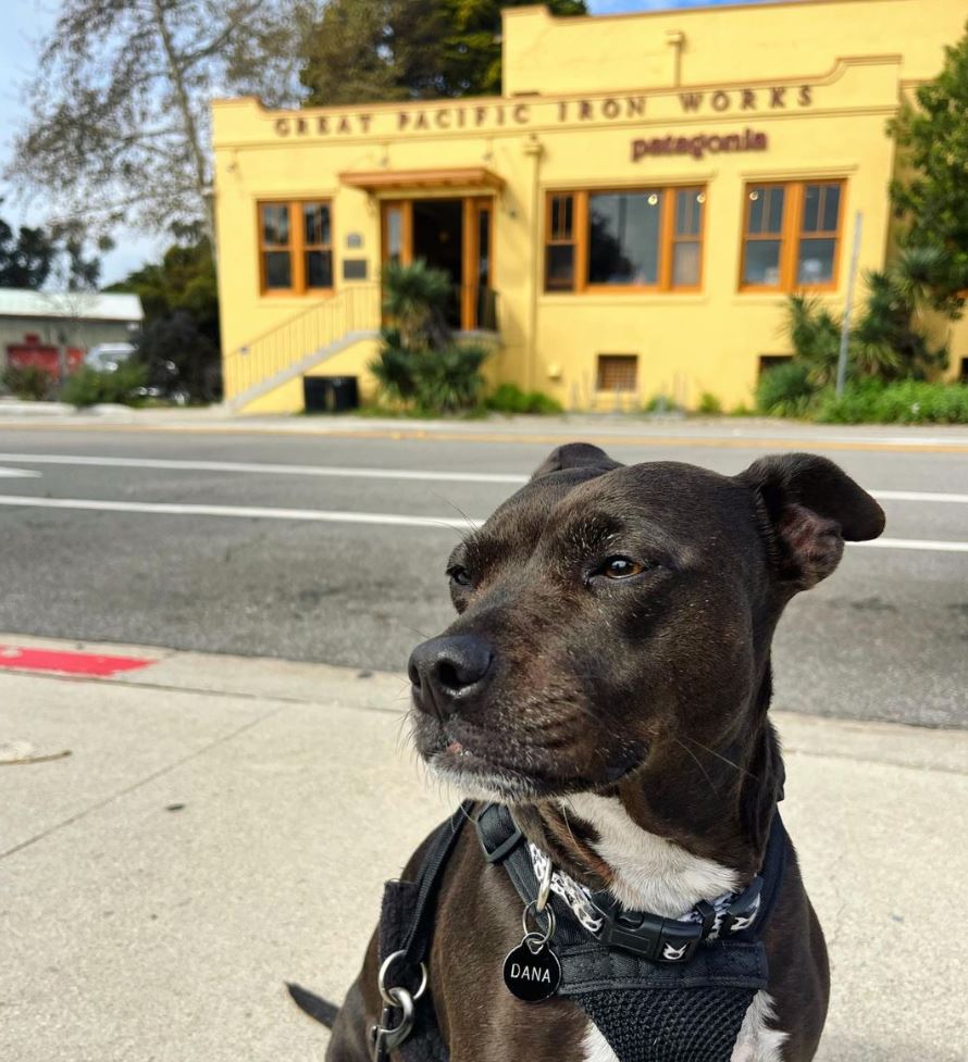 Run4PublicLands's tweet photo. Join us tomorrow for a group run at Great Pacific Iron Works (@patagonia) in Ventura at 5pm!

We will run on the bike path. Rain or shine!

All people, paces, and pups are welcome! 🐶 Bring your gloves, jacket, and cap and be ready for some rainy fun with the community. https://t.co/zd19imCRZw