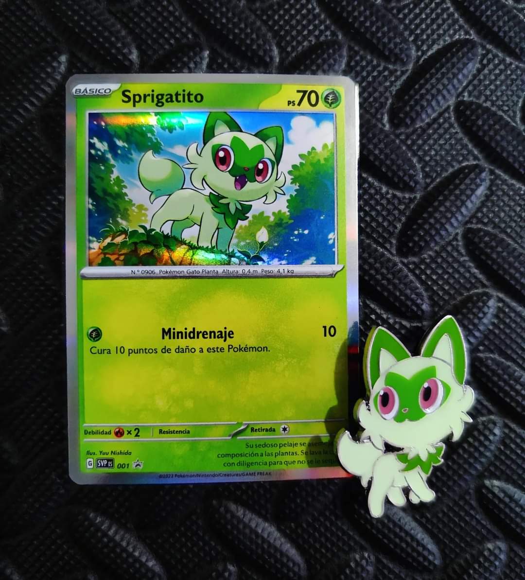 JackFrdtw's tweet photo. Colección de #Paldea 💚 #Spirigatito 🌿
#PokemonTCG #Pokemon #pokemonscarletandviolet https://t.co/OVpyntsj4P