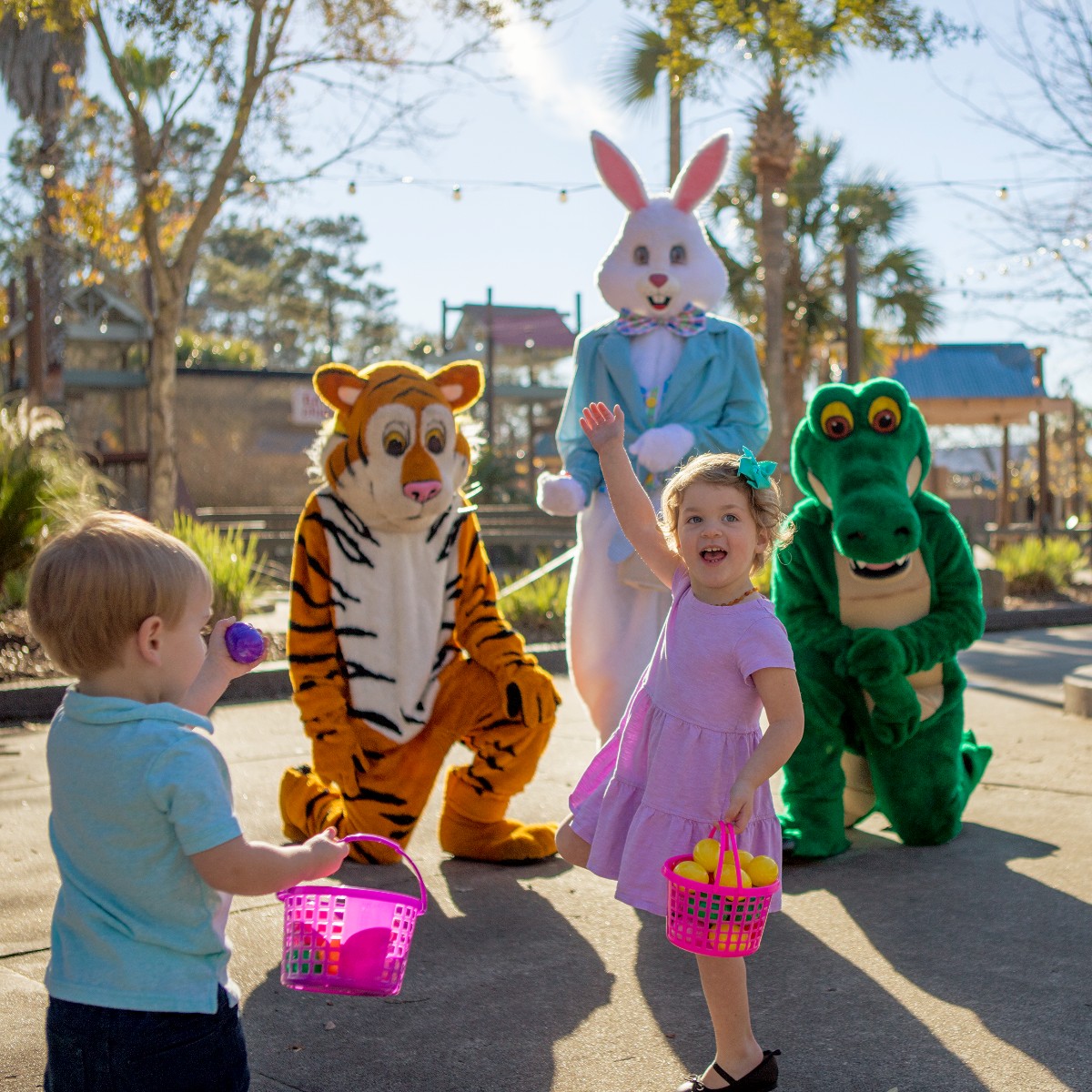 Wild_Adventures's tweet photo. #Easter is hopping our way FAST! 🐇 Be sure to join us April 1, 2, and 8 for our #EasterEggstravaganza! 🌷🥚

Learn more here: https://t.co/725md9lTSP https://t.co/UQtcLZ7Q9T