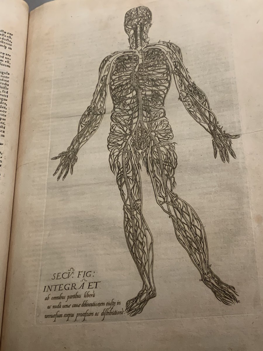 #MedEd #MedTwitter #aortaed original anatomy textbook circa 1545 by Geminus with detailed vasculature! #NYPLTreasures