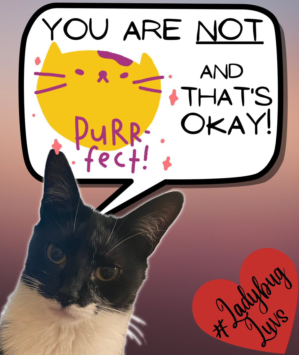 You are not “purrfect” and that’s okay!  #LadybugLuvs #selflove #likeyourself #CatsAreFamily #CatsOfTwitter #MentalHealthAwareness