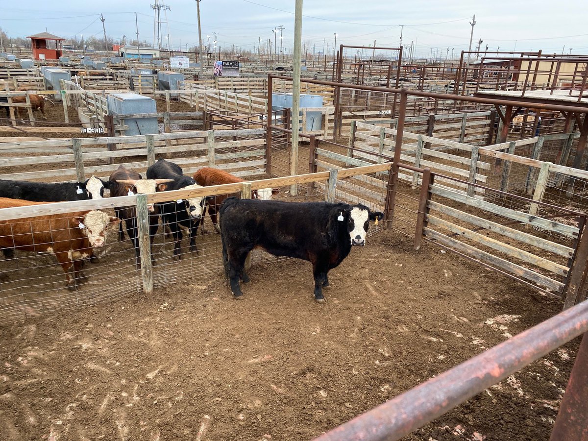 Sen. James Lankford on Twitter "The Oklahoma National Stockyards is