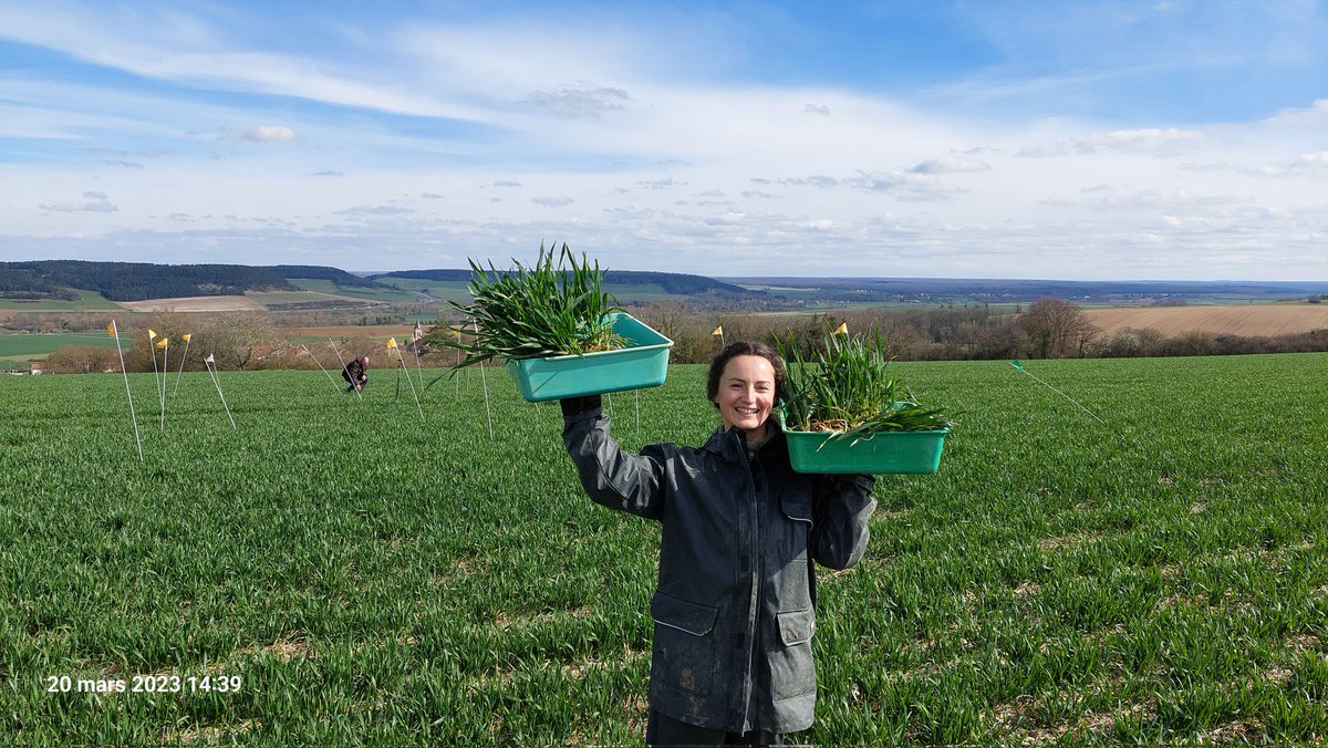 Stéphane CORDEAU tweet media
