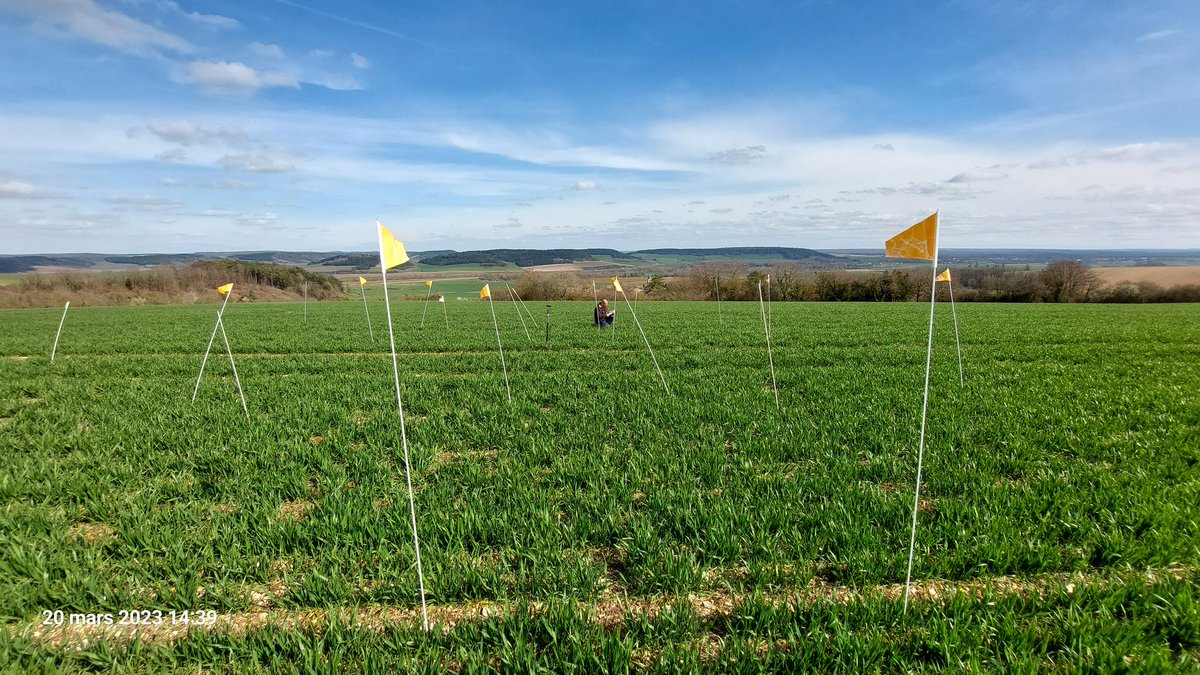 Stéphane CORDEAU tweet media