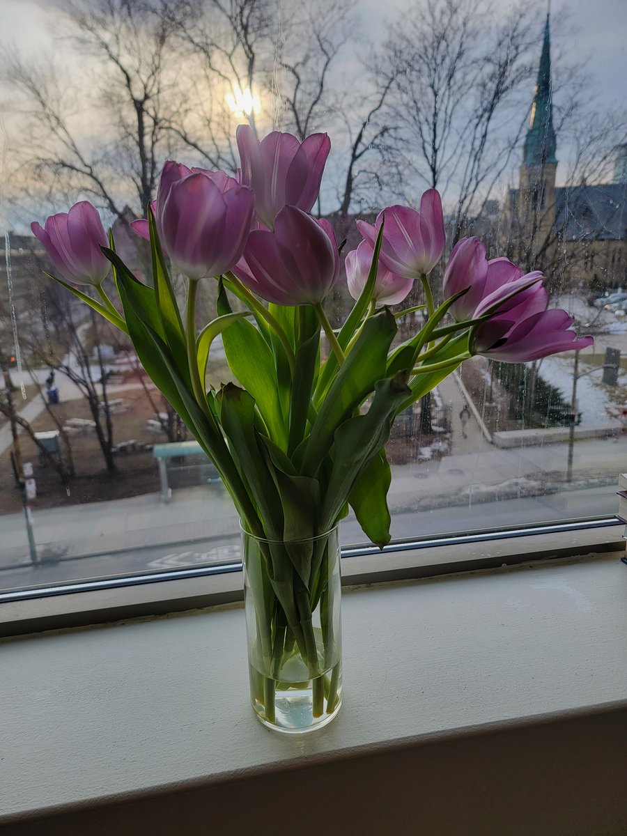 BloorAveChiro's tweet photo. Happy Spring. We're looking forward to sunnier and brighter days ahead!
#Spring #solstice #springequinox #sun #health #wellness #season #light #mildweather #bloom #tulip #flowers #birds #garden #community #Toronto #downtowntoronto https://t.co/FFKh6JiQXW