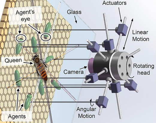 AUTOMATION:    How do Robotic bees and roots offer hope of healthier environment and sufficient food!     #automation   #roboticbees  #roots  #healthierenvironment zurl.co/Rkpg  Please like and share 😁