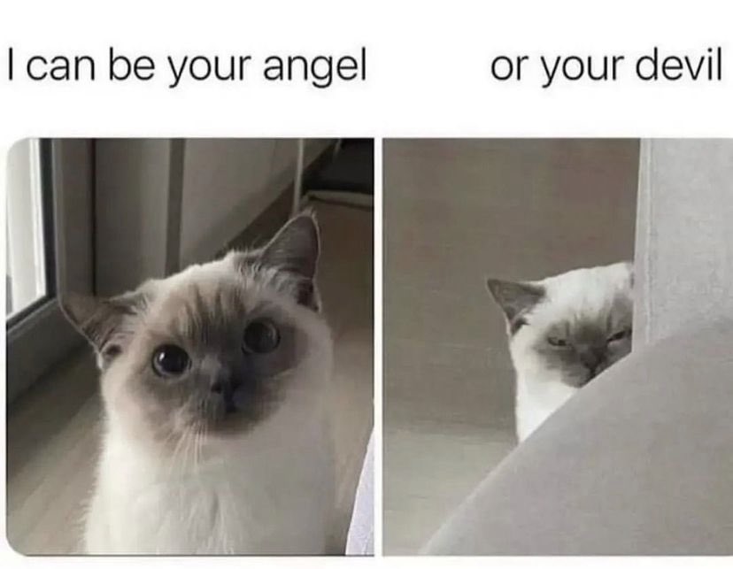 Chester (@kedichester) on Twitter photo 