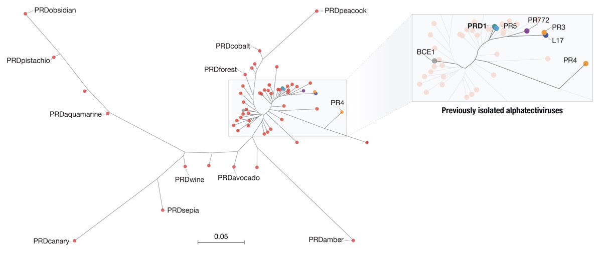Natalia Quinones-Olvera tweet media