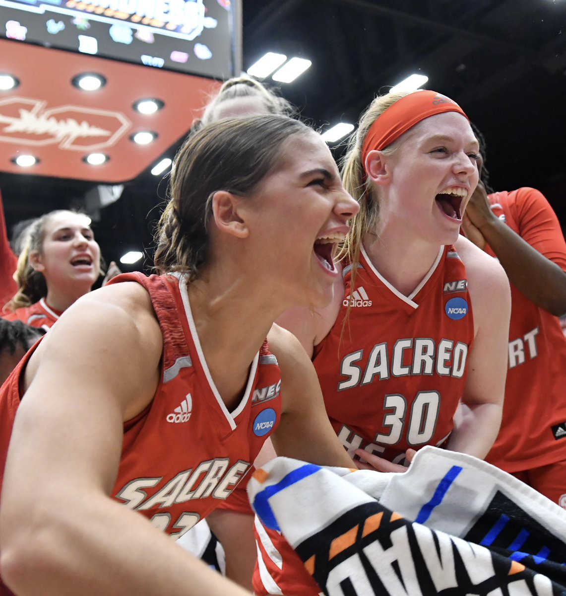 CoachMattRod's tweet photo. 🏀 19 Wins (most since 2018 - 2019)
🏀 NEC Tournament CHAMPIONS  (first since 2012) 🏆
🏀 @NECsports Auto Bid for @MarchMadnessWBB 
🏀 First ever NCAA Tournament WIN for @SHUBigRed AND @nechoops WBB

The 2022 - 2023 @SacredHeartWBB TEAM was nothing short of AMAZING!

#WinnersWIN https://t.co/bT6ze4S7Wx