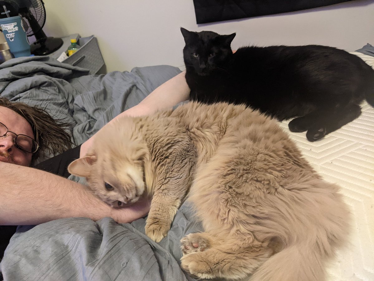 squeakie__'s tweet photo. Happy Birthday @bouphe from me and the babies! Much love Soph-a-loaf. ❤️ https://t.co/BDKNscEkPc