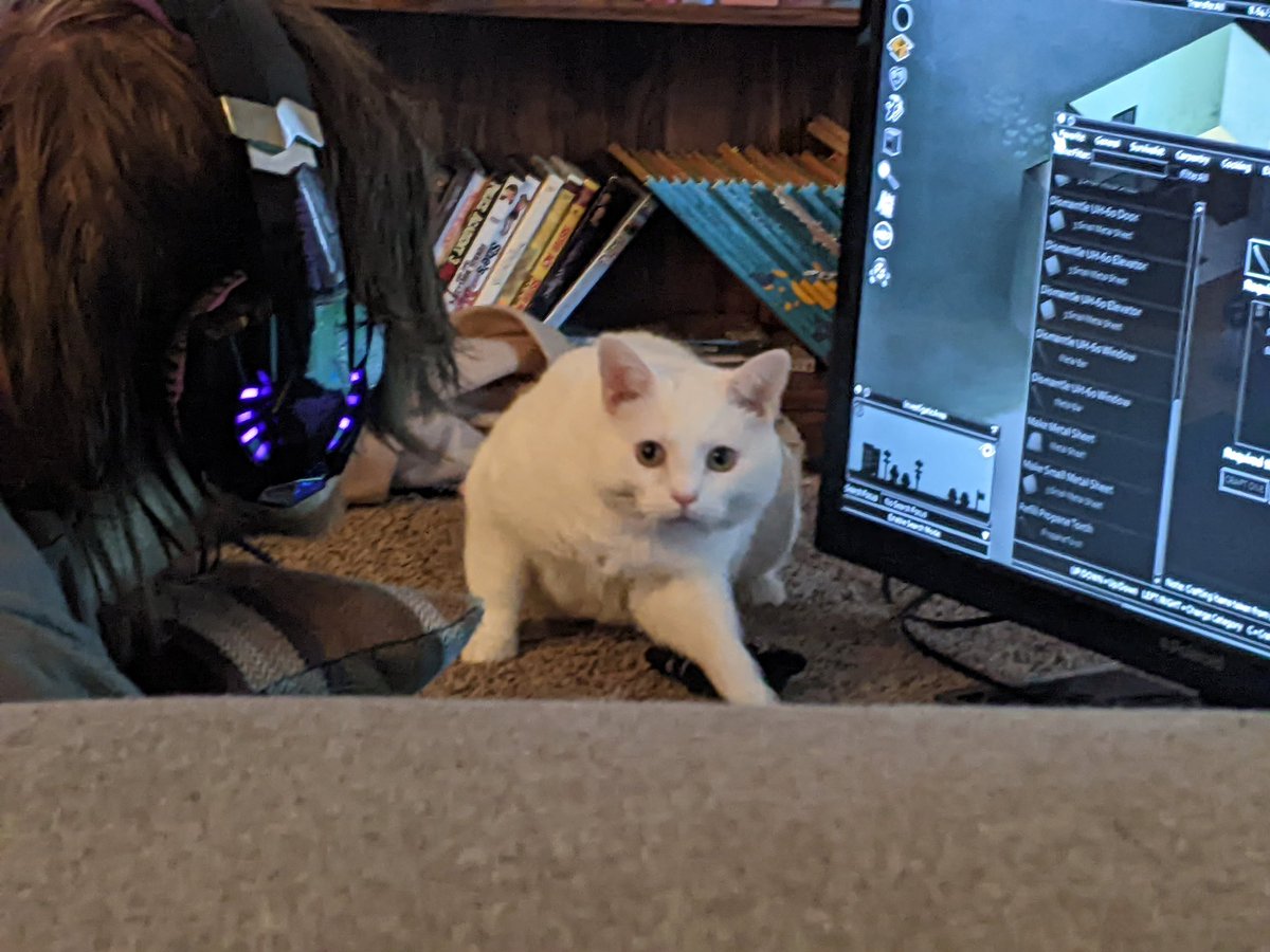 squeakie__'s tweet photo. Happy Birthday @bouphe from me and the babies! Much love Soph-a-loaf. ❤️ https://t.co/BDKNscEkPc