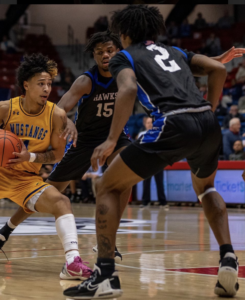 4th trip to the NCAA tournament (if you count Waycross College SwampFoxes- who merged into South Georgia College to Make South Georgia State College) 