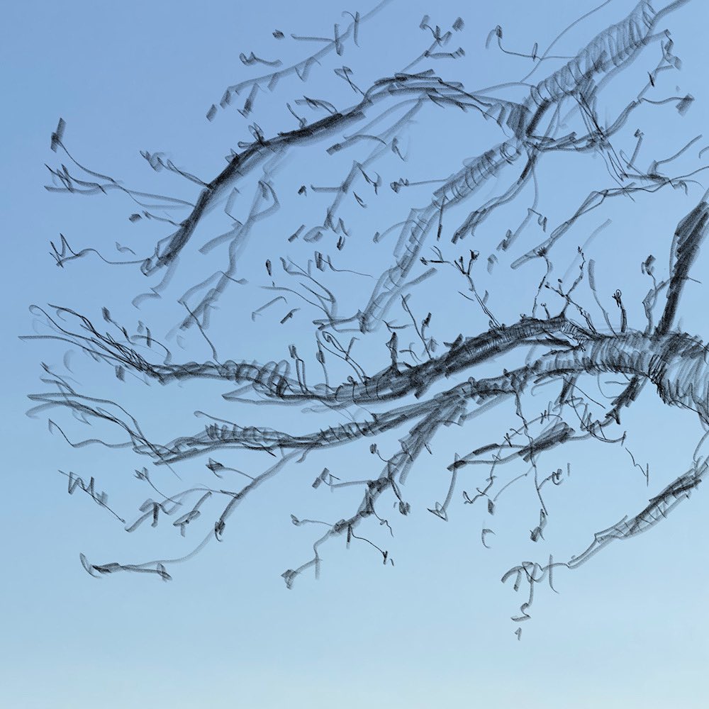 hsyee's tweet photo. โBare Treeโ
#pencil
#illustration by #henryseneyee
#nycurbansketchers #urbansketch #longislandcity #tree #treelimbs https://t.co/bzv3dORffC