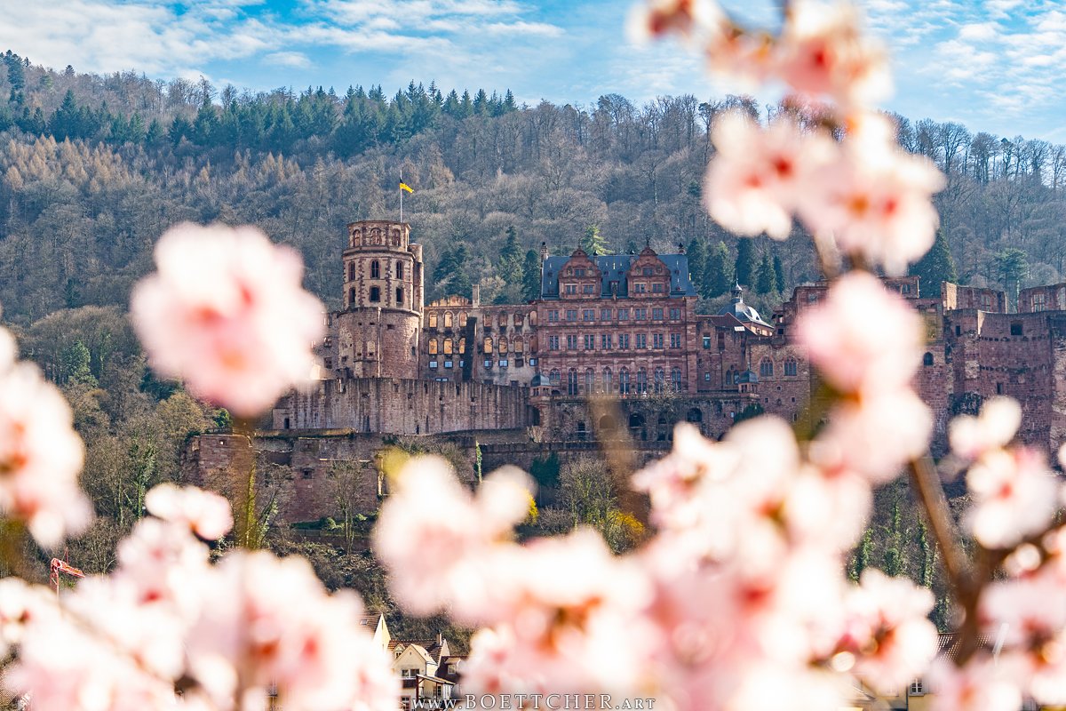 Spring in Heidelberg😊
#Germany #Deutschland #BadenWürttemberg #Europe #Europa #Photography #Kurpfalz #city #Schloss #Castle #SchlossHeidelberg #HeidelbergCastle #Spring #Frühling #blossoms #Blüten #photography #visitgermany #springtime #Frühlingszeit #Monday #Montag #visiteurope