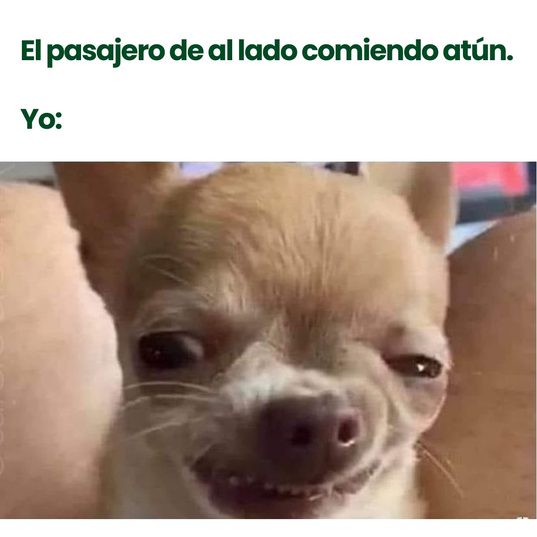 VivaAerobus's tweet photo. ¿Sabías que en nuestro menú a bordo puedes encontrar varias opciones para disfrutar durante tu vuelo? Conoce más sobre nuestro delicioso menú. 😋 https://t.co/Rgba9TpWd9