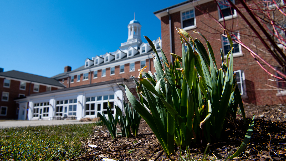 Tufts University on Twitter "Spring's about to blossom 🌸🌼"
