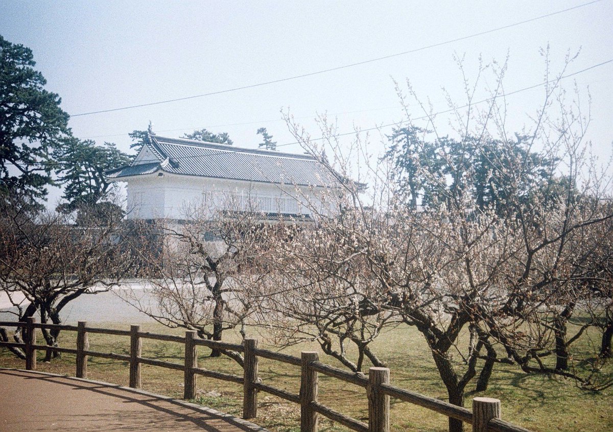 kashimu_HAMA's tweet photo. #根府川 #おかめ桜 #ウォーキング の後小田原城に寄ってきました。#河津桜 が葉桜になってしまっていたのが残念。
でも桜と城はいいですね。
#オリンパス #PEN_EE
#FUJIFILM 業務記録用フィルム 期限:2010.08 補正値:ASA64
#期限切れフィルム
#カメスズ
#film
#filmcamera
#TLを花でいっぱいにしよう https://t.co/km9m0wpvLt