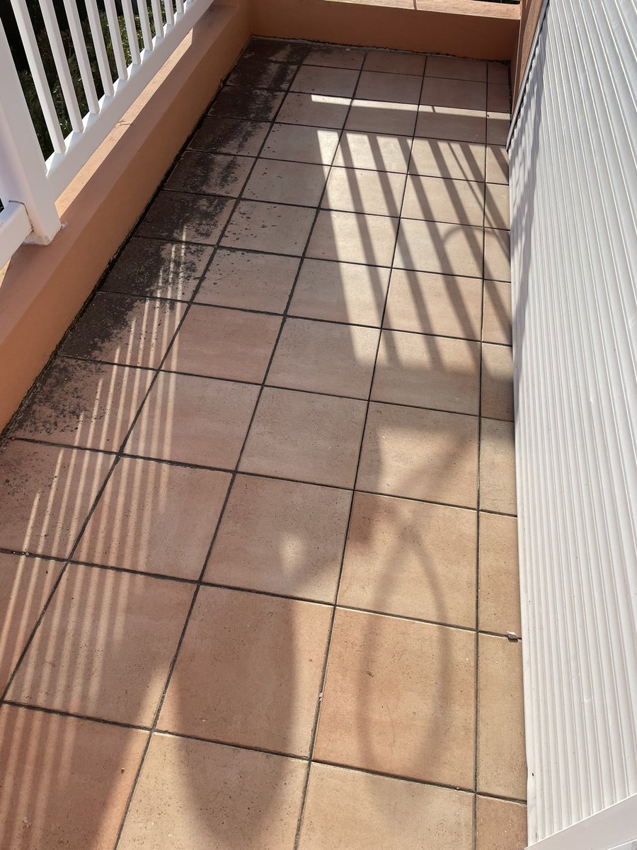 trottyyyyy's tweet photo. Back at it… more Pressure washing by @securebda to renew and refresh your property. 

Swipe right ➡️➡️➡️ to see the before and after of a patio that was cleaned, treated and pressure washed. Enjoy the transformation and let us know what you think…

Call 333-2345 or send a dm. https://t.co/2c6jfcE5K5