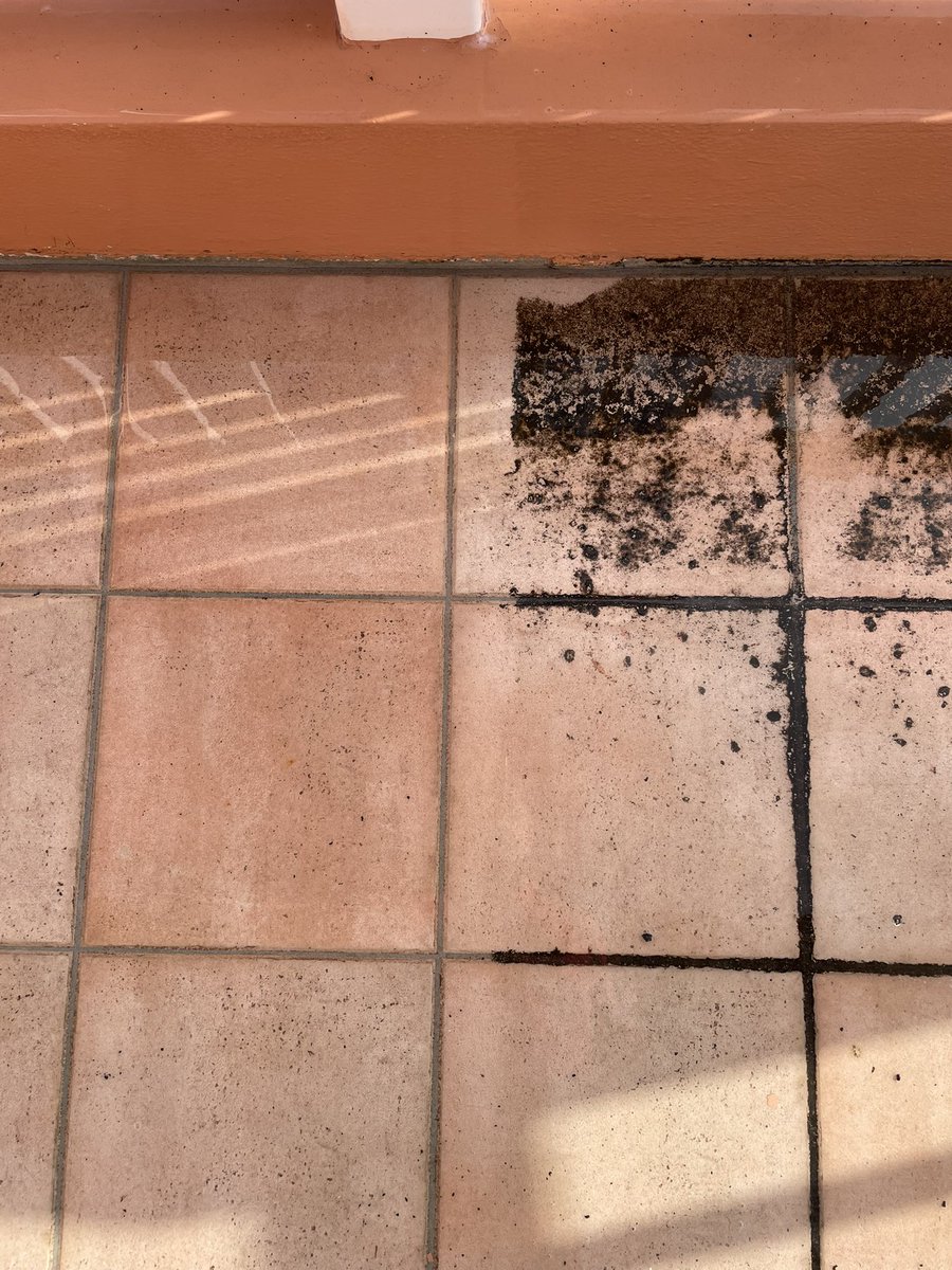 trottyyyyy's tweet photo. Back at it… more Pressure washing by @securebda to renew and refresh your property. 

Swipe right ➡️➡️➡️ to see the before and after of a patio that was cleaned, treated and pressure washed. Enjoy the transformation and let us know what you think…

Call 333-2345 or send a dm. https://t.co/2c6jfcE5K5