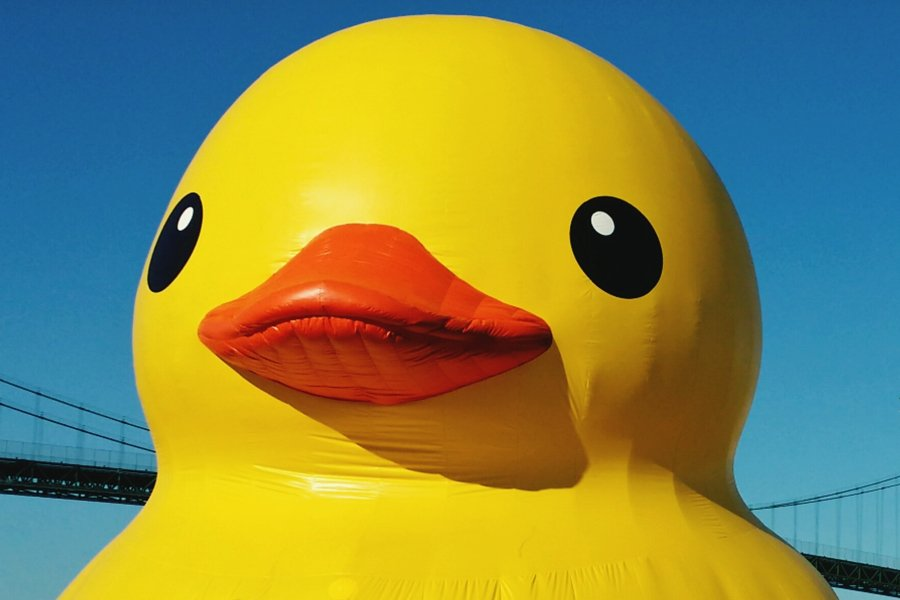 ThieviusFoxTV's tweet photo. I like playing with my duck in private... https://t.co/b2160sdwER