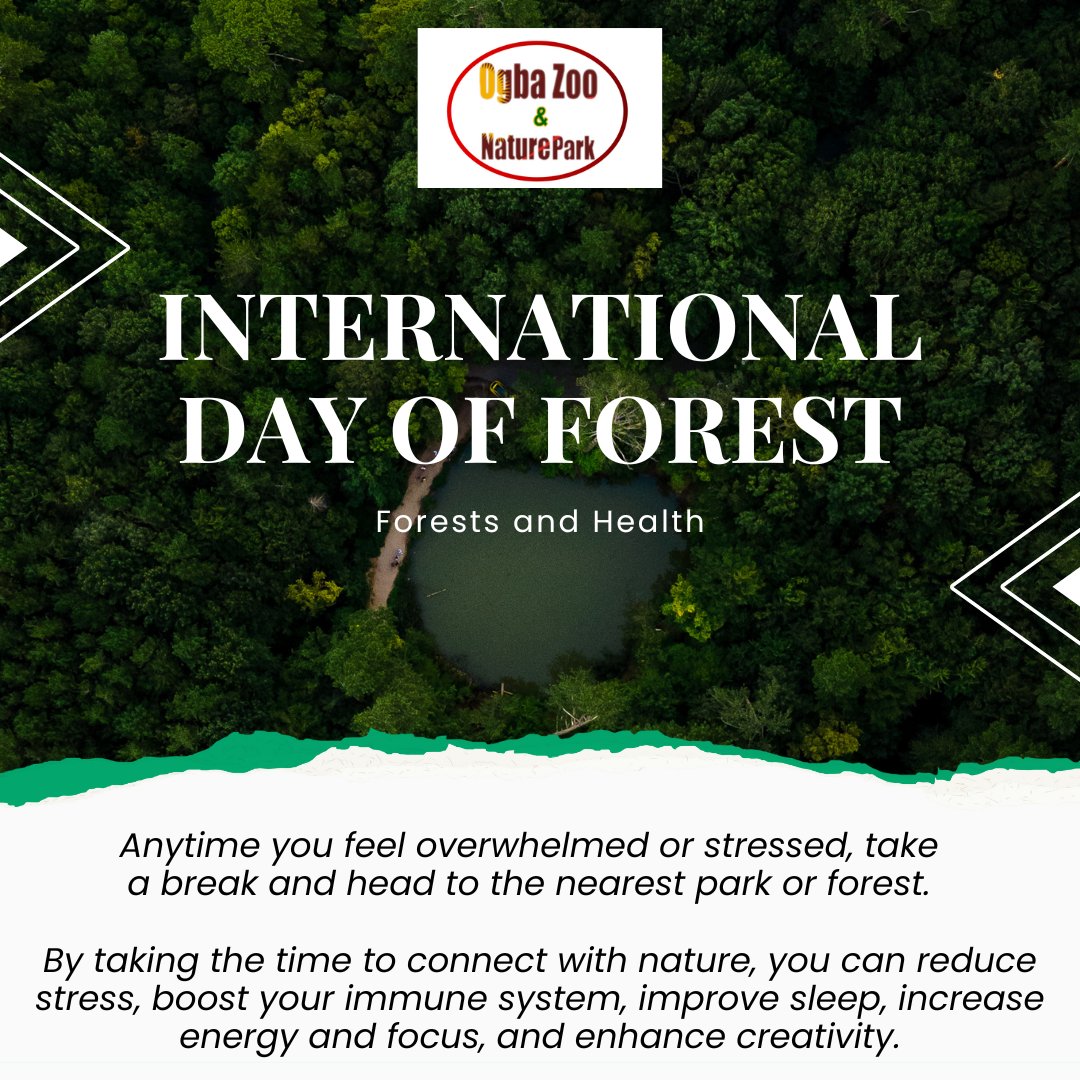 ZooOgba's tweet photo. Protect forests to promote a healthy society.

#Internationaldayofforest
#Worldforestday https://t.co/1PWacneDNU