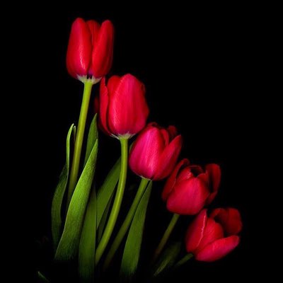 InerherhaA's tweet photo. #NewProfilePic https://t.co/xMlGMjIqT5