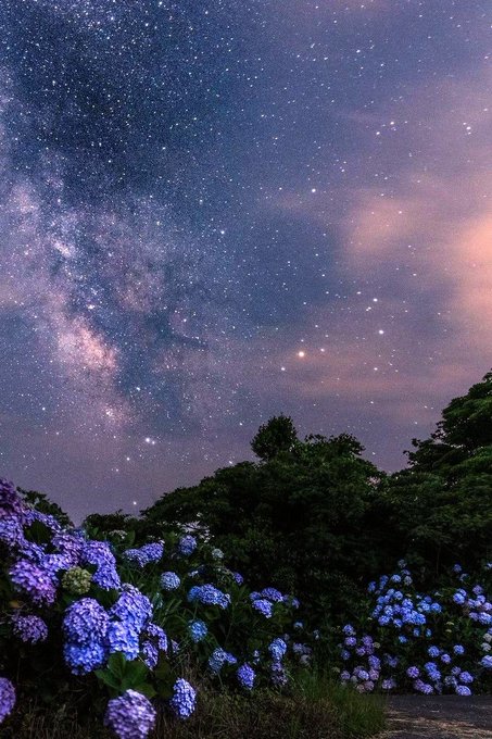 daria_wite's tweet photo. starry skies https://t.co/DJTZY2FwNE