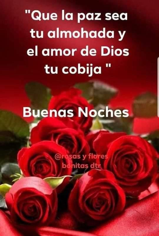 Buenas noches atodos💙💙💙💙💙💙💙💙💙💙💙💙