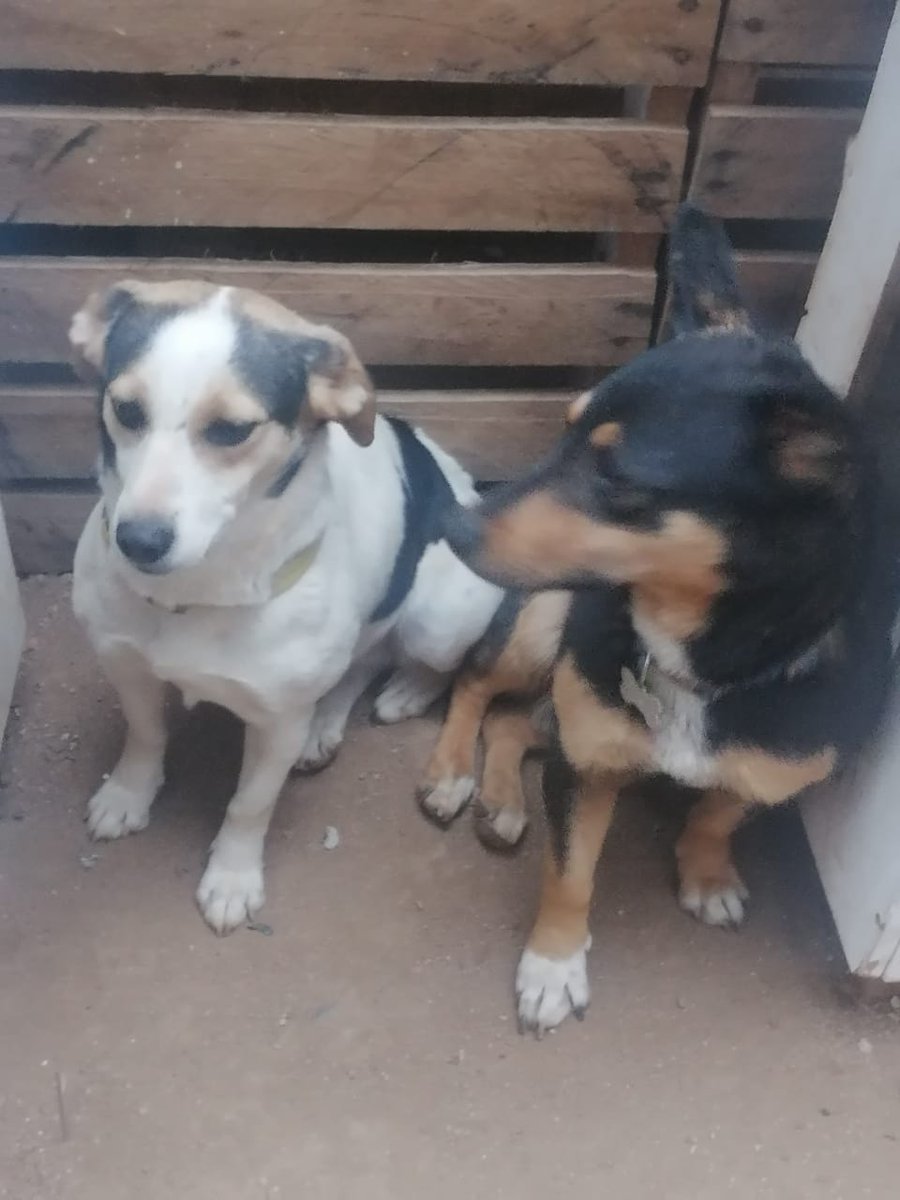 Ximena A.G tweet media