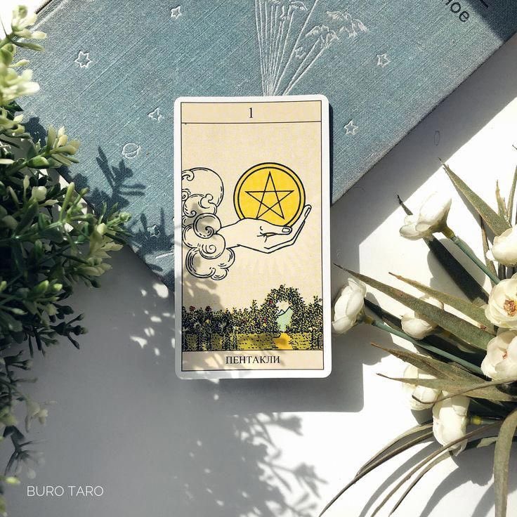 نجّم tweet media