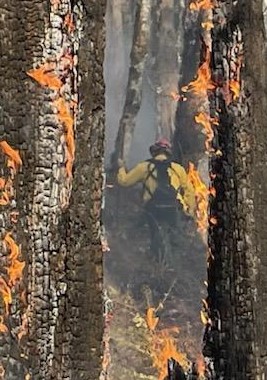 Clackamas Fire on Twitter: "With only 2 days of nice weather, Clackamas