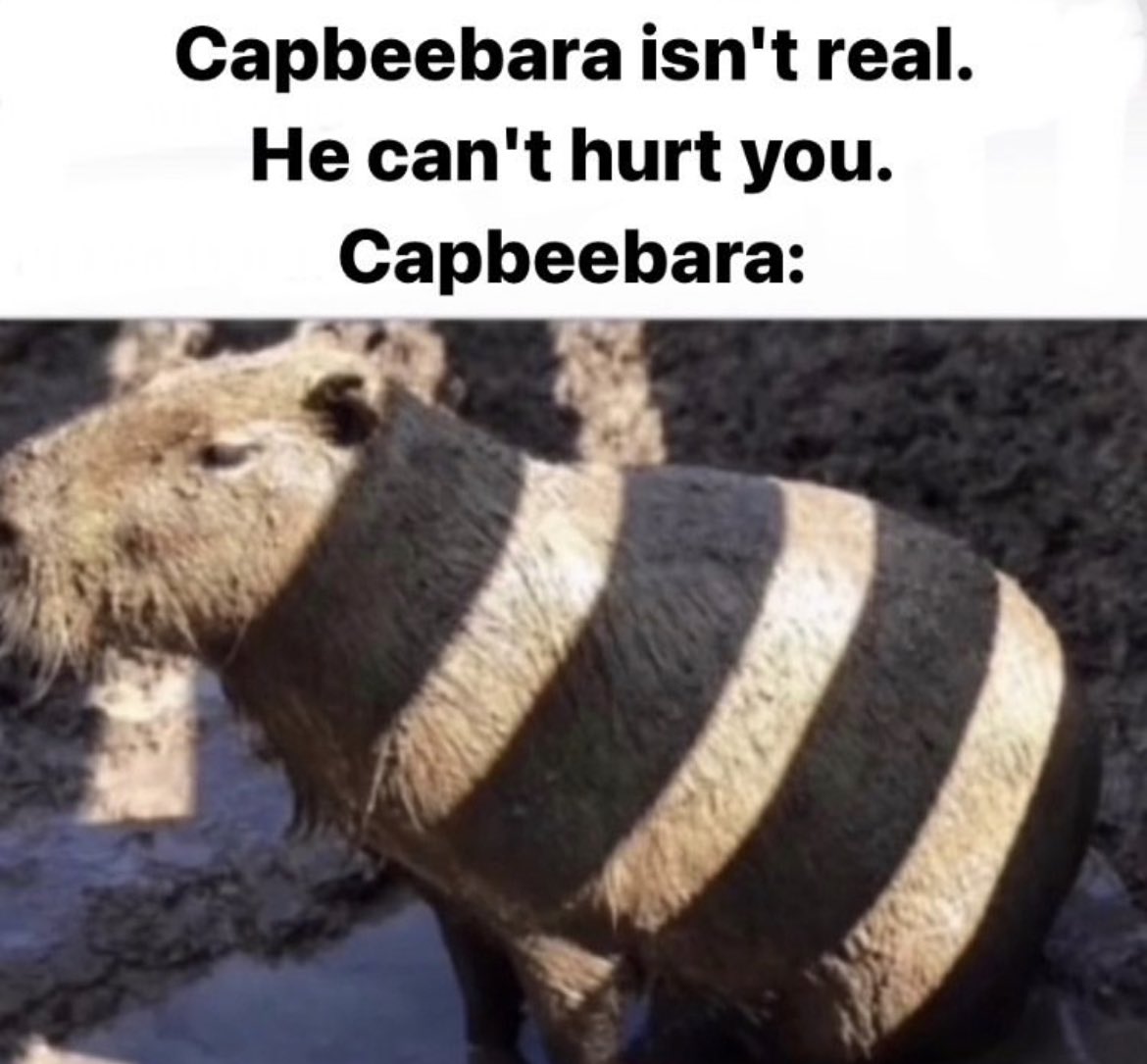 lemonade 🦦 (@liamroutledgee) on Twitter photo 