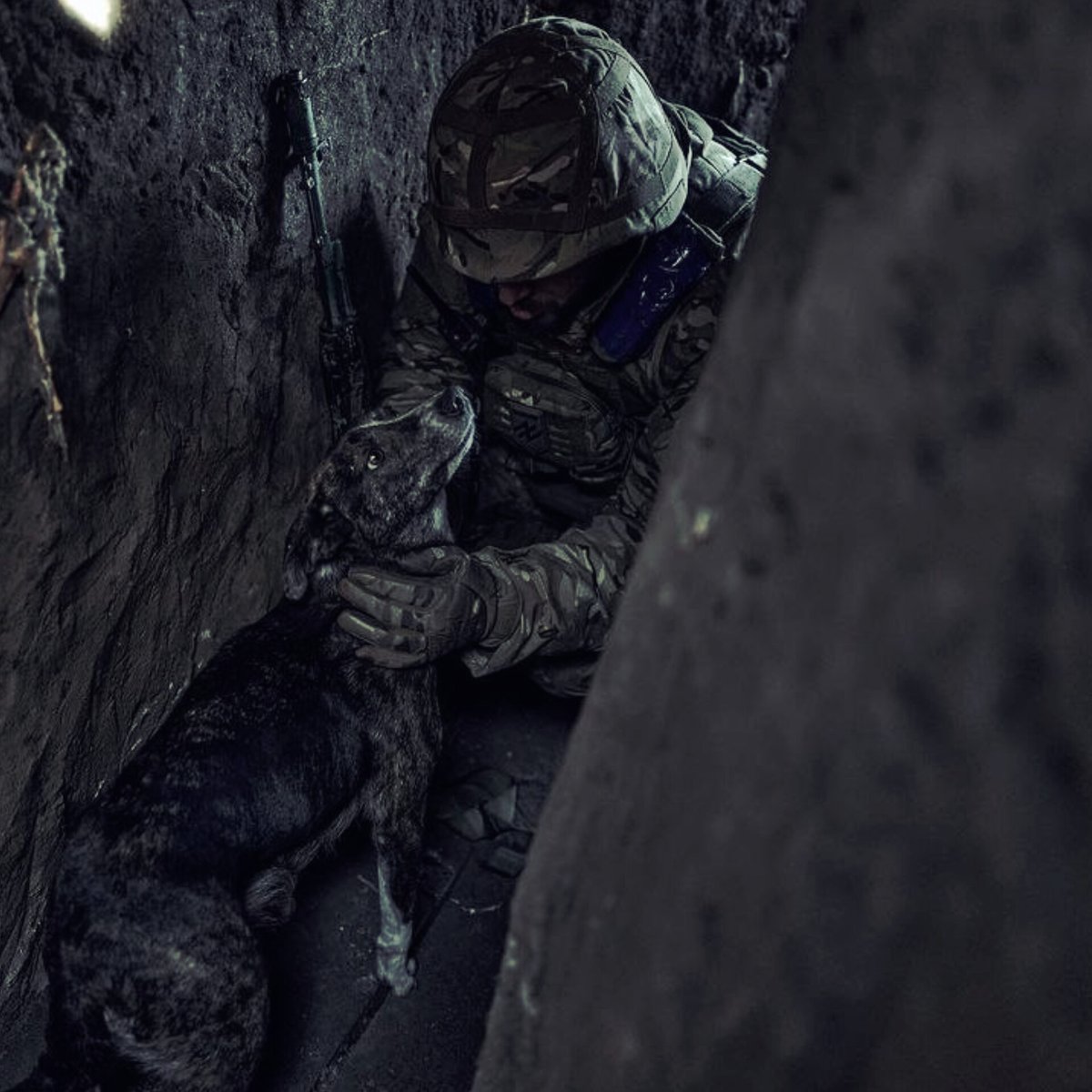 Gerashchenko_en's tweet photo. Instead of a thousand words.

Ukrainian soldier with a dog in the trench. March 16, 2023, Donetsk region.

📷: @Liberov https://t.co/G1Y2P9DZzt