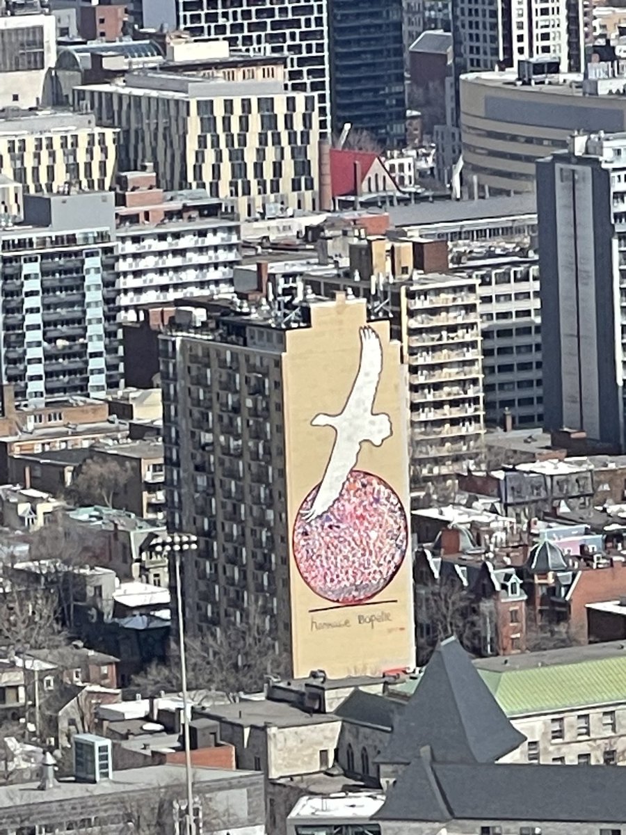 IndrajitRoyYork's tweet photo. The sun showed up today and we got some beautiful views of #Montreal.
#MountRoyale #ISA2023. https://t.co/W8Ev3bormO