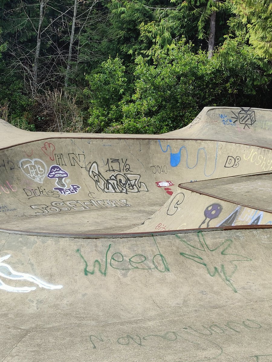 MaturityNone's tweet photo. There was a little mini skatepark outside of the disc golf course in the graffitis pretty goddamn classic https://t.co/Yh0kxr0NFL
