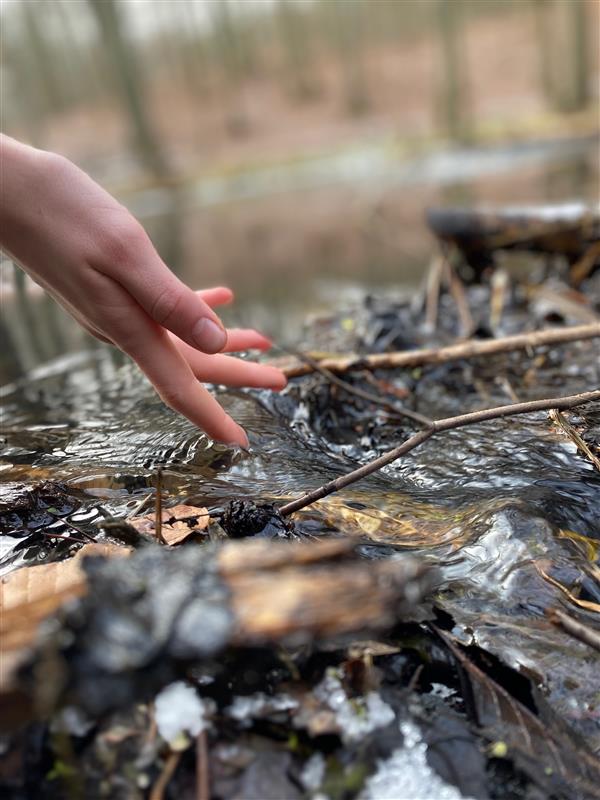 Berlin Cosmopolitan School tweet media