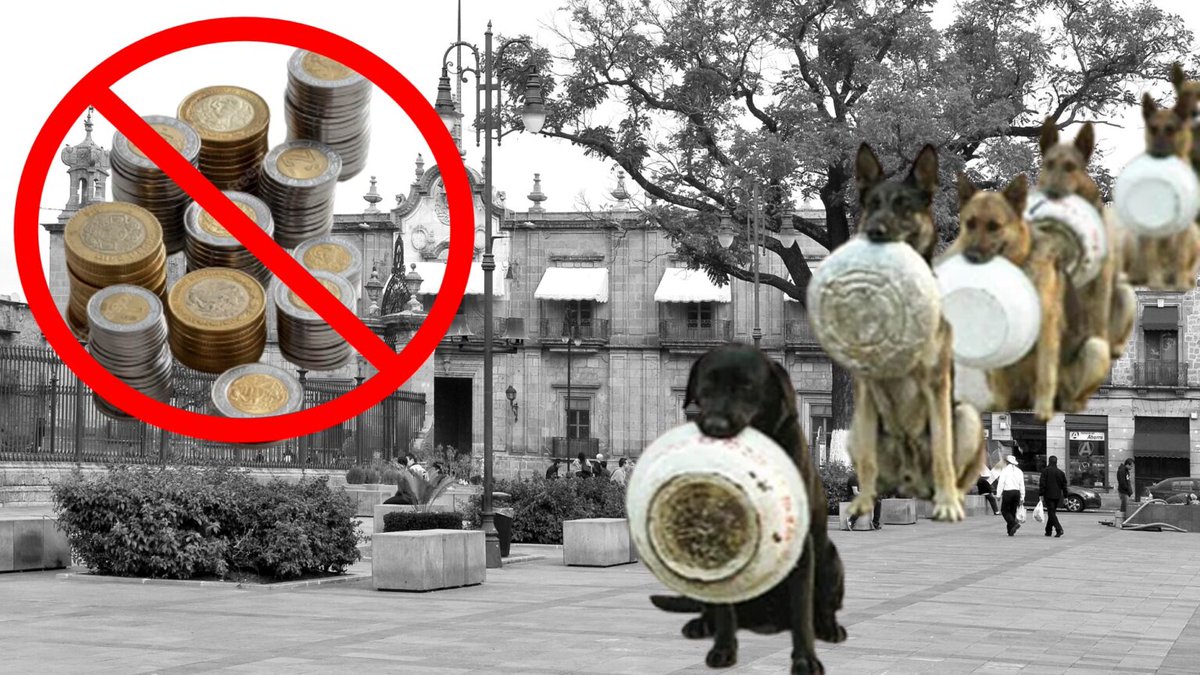 michangoonga's tweet photo. El Congreso Michoacano aprobó recientemente que ayuntamientos deben rescartar y adiestrar perros #75L 

Pero dice regidora moreliana que NO HAY DINERO  #Michoacán 

https://t.co/5fFJNDlez8 https://t.co/04sGjzpuWP