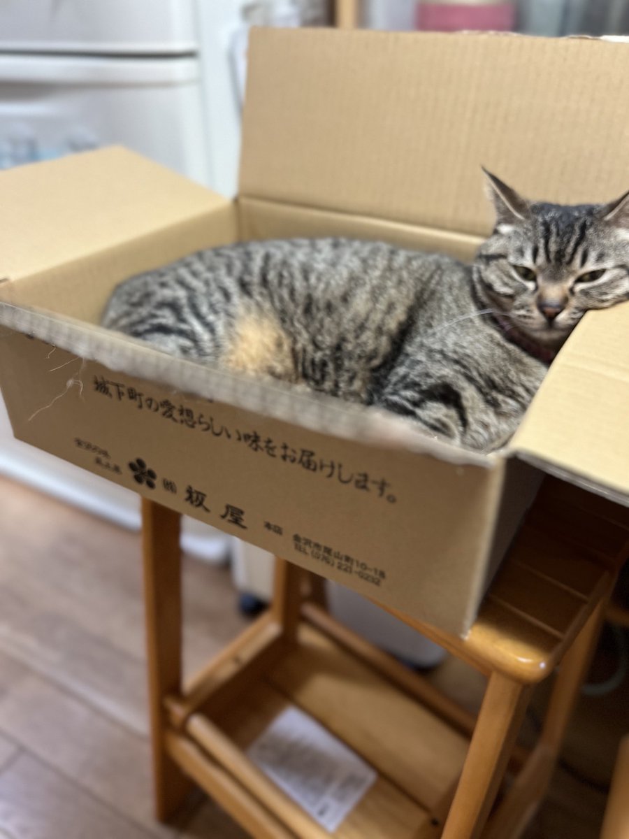 vina_yu's tweet photo. 板屋さん、いろいろお世話になりました！香林、お土産に買いました♪
パワーメタル饅頭もエメラルドソードも美味しかったです！！今週末、ラウパでお待ちしてます😄
大阪にも無事届いたそうです！ネコちやわんのお気に入りになってます♥️ https://t.co/nXyqBHFTcL