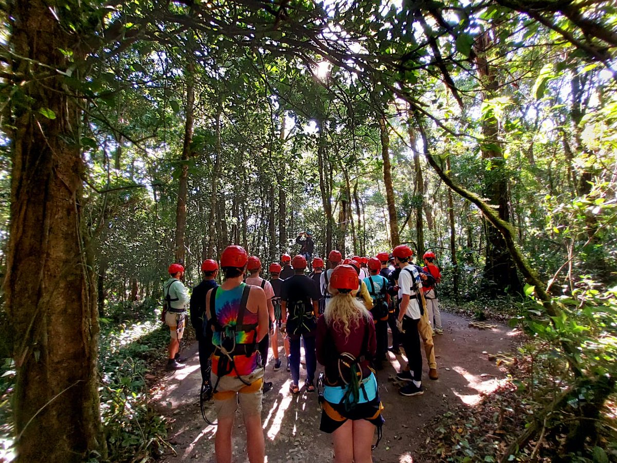 Camp_CostaRica's tweet photo. And because not everything is working hard, the team Toronto enjoyed today's day of extreme sports doing canopy and on the cultural side, a delicious coffee tour at #Monteverde. Well deserved! 🙌
#CampsEffect #DoSomethingAmazing #PartneringWorldstrides @CampsInt @UCC_Community https://t.co/N7NVRPlQpk