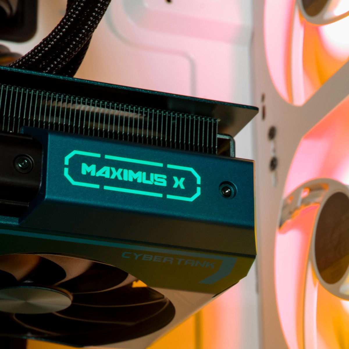 apexgamingpcs's tweet photo. Which GPU do you use choose?

Like for Green  ❤️
RT for Blue🔁 https://t.co/ox2qNyHem3