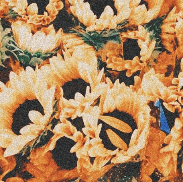 alonewelay's tweet photo. ⠀ 

         ᭡ ݁ . 𝑚𝑢𝑐ℎ𝑎𝑠 𝑣𝑒𝑐𝑒𝑠 𝑟í𝑒, 𝑜𝑡𝑟𝑎𝑠 𝑙𝑙𝑜𝑟𝑎, 
       𝑎 𝑣𝑒𝑐𝑒𝑠 𝑐𝑎𝑛𝑡𝑎 𝑦 𝑏𝑎𝑖𝑙𝑎 𝑠𝑖𝑛 𝑚ú𝑠𝑖𝑐𝑎, 
       𝑒𝑠  𝑟𝑎𝑟𝑎  𝑦 𝑢𝑛 𝑝𝑜𝑐𝑜 𝑙𝑜𝑐𝑎 ,  𝑦 ����𝑠𝑜 𝑙𝑎 
       ℎ𝑎𝑐𝑒 ú𝑛𝑖𝑐𝑎 𝑦 𝑒𝑠𝑝𝑒𝑐𝑖𝑎𝑙.   ݁ .

⠀ https://t.co/fHq4UjipSM