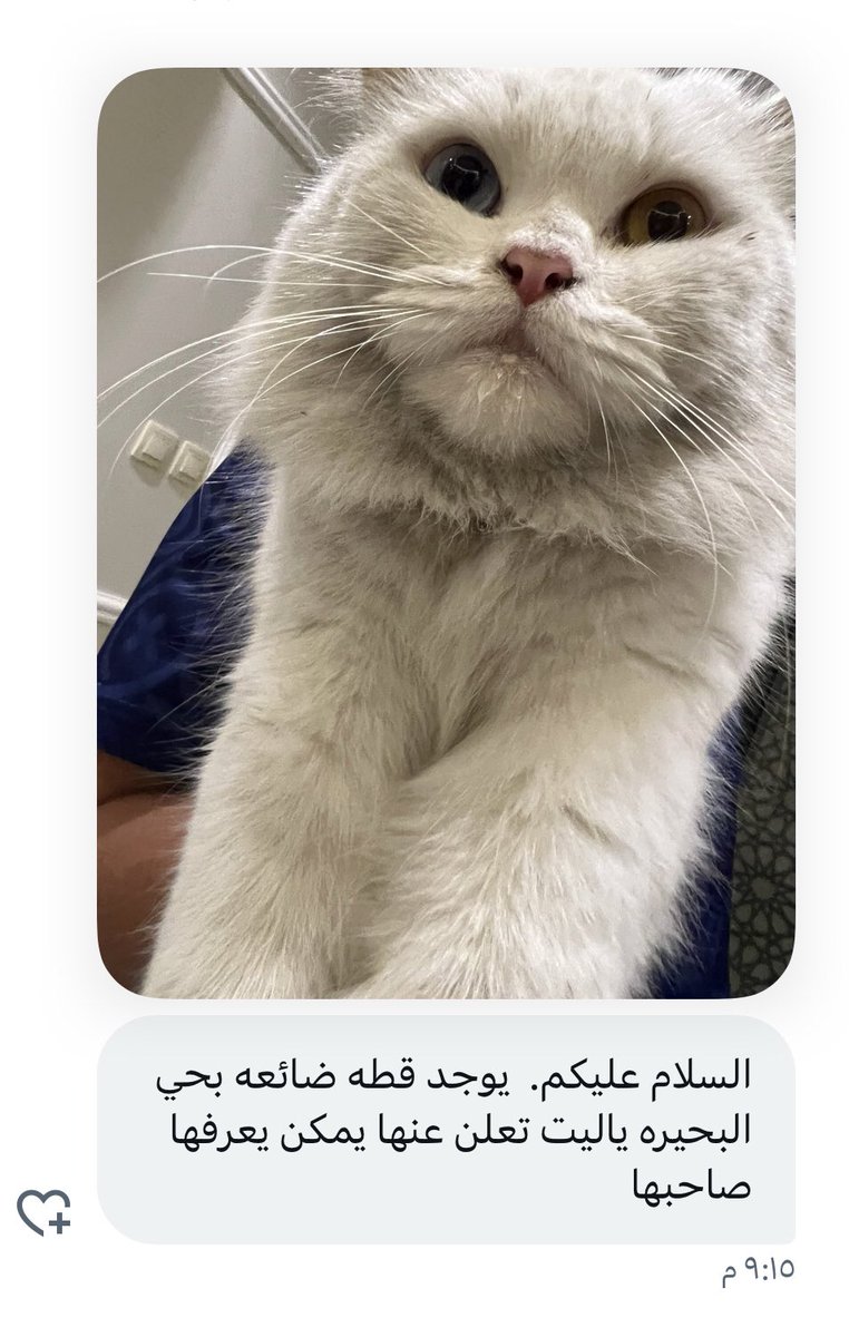 Azizziyah's tweet image. #استفسار من الخاص ..

#العزيزية #البحيرة